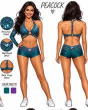 Load image into Gallery viewer, 2 Custom Audition Outfits For Brianna